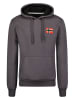 Geographical Norway Bluza "Fondant" w kolorze szarym