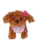 Simba Hond "ChiChi Love Tea Cup Poodle Puppy" - vanaf 3 jaar