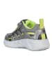 Geox Sneakers "Assister" grijs/groen