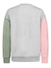 Sublevel Sweatshirt meerkleurig