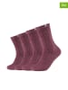 Skechers 4er-Set: Socken in Bordeaux