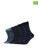 camano Skarpety (6 par) w kolorze niebiesko-czarnym