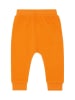 Sense Organics Spodnie dresowe w kolorze pomarańczowym
