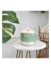 CANDLE-LITE Geurkaars "Vibing & Thriving" bruin/wit - 454 g