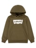 Levi's Kids Hoodie in Khaki