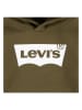 Levi's Kids Hoodie in Khaki
