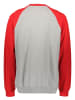 DC Sweatshirt grijs/rood