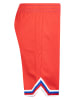 Converse Shorts in Rot/ Blau