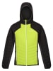 Regatta Steppjacke "Trutton" in Gelb