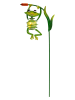 näve Solarna lampa ogrodowa LED "Frosch" w kolorze zielonym - wys. 66 x Ø 15 cm