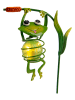 näve Solarna lampa ogrodowa LED "Frosch" w kolorze zielonym - wys. 66 x Ø 15 cm