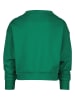 RAIZZED® Sweatshirt "Norfolk" in Grün