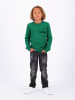RAIZZED® Sweatshirt "Ashmont" in Grün
