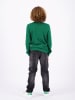 RAIZZED® Sweatshirt "Ashmont" groen