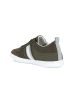 Geox Sneakers "Walee" in Khaki