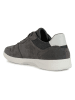 Geox Sneakers "Kennet" in Grau