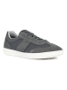 Geox Sneakers "Rieti" in Grau