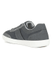Geox Sneakers "Rieti" in Grau