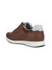 Geox Sneakers "Uavery" lichtbruin