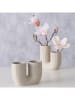Boltze 2er-Set: Vasen "Filicio" in Beige