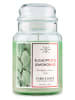 Purple River Geurkaars "Eucalyptus & Lemongrass" groen - 623 g