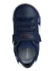Geox Sneakers "Djrock" donkerblauw