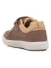 Geox Sneakers "Arzach" lichtbruin