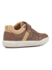 Geox Sneakers "Arzach" in Hellbraun