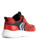 Geox Sneakers "Aril" in Rot