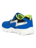 Geox Sneakers "New Torque" blauw