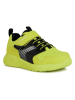 Geox Sneakersy "Sprintye" w kolorze zielonym