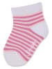 Sterntaler 3-delige set: sokken lichtroze/wit
