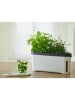 Gusta Garden Kräutertopf "Harry Herbs" in Weiß - (B)35,8 x (H)25 x (T)16 cm