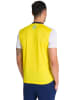 Arena Trainingsshirt geel