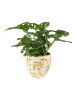 Clayre & Eef Bloempot geel/wit - (H)12 x Ø 13 cm