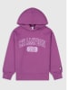 Champion Hoodie in Lila