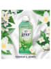 Lenor Weichspüler "Freshness Guard", 1,4 l