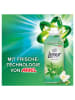 Lenor Weichspüler "Freshness Guard", 1,4 l