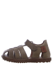 Naturino Leren enkelsandalen kaki