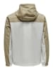 ONLY & SONS Regenjas "Gilbert" beige/wit