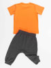 Denokids 2-delige outfit "Orange Fox" oranje/grijs