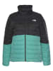 The North Face Steppjacke in Mint/ Schwarz