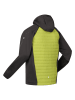 Regatta Hybride jas "Andreson VII"  groen/zwart