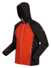 Regatta Hybride jas "Andreson VII"  rood/zwart