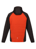 Regatta Hybride jas "Andreson VII"  rood/zwart