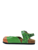 Calceo Enkelsandalen groen/meerkleurig
