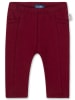 Sanetta Kidswear Spodnie dresowe w kolorze bordowym