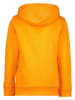 RAIZZED® Hoodie "Treyton" in Orange