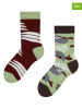 Dedoles 2-delige set: sokken bruin/groen