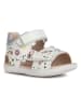Geox Sandalen "Tapuz" wit/meerkleurig